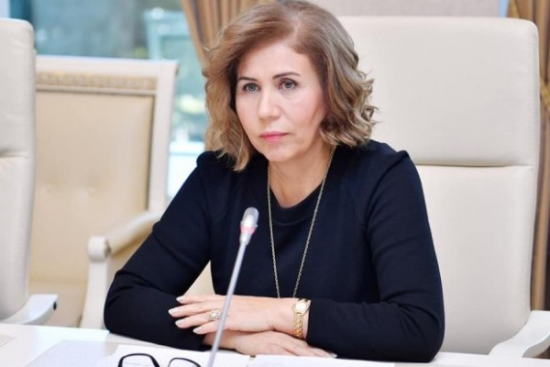 "Məişət zorakılığı halları üstünlük təşkil edir" - Bahar Muradova