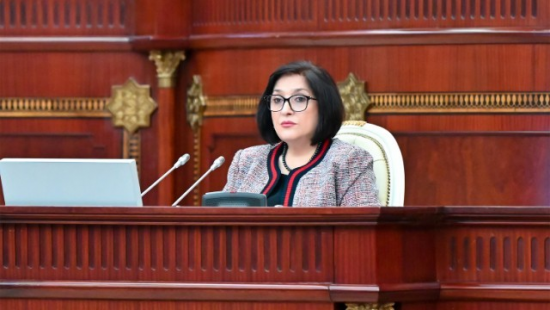 "Türkiyə fəlakətin vurduğu yaraları tezliklə sağaldacaq" - Sahibə Qafarova