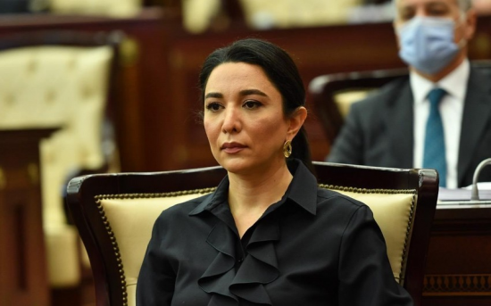 Ombudsman: "Ermənistan azad olunmuş ərazilərimizi yenidən minalarla çirkləndirir"