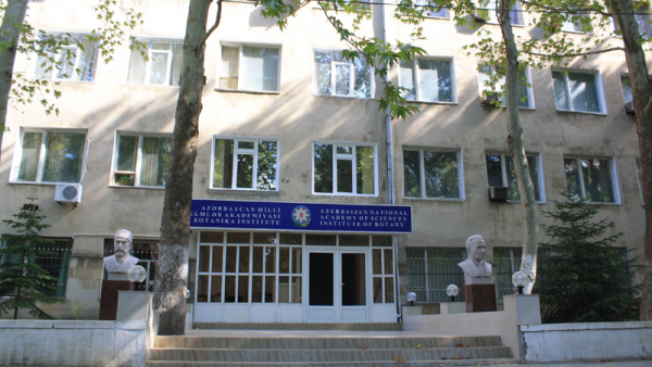 Bakıda bu institut köçürülür (SƏBƏB)