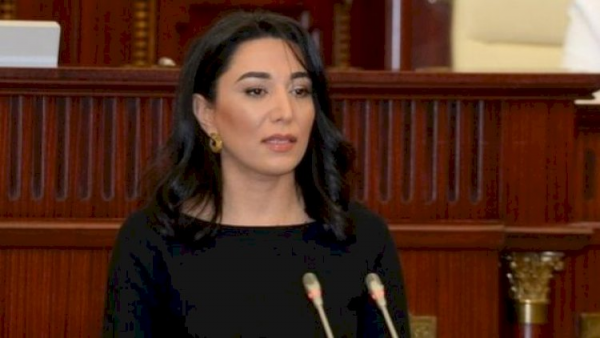 Ombudsman erməni təxribatı barədə müraciət yaydı