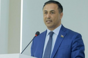 "Dilənçiliyin forması dəyişib" - Elman Nəsirov