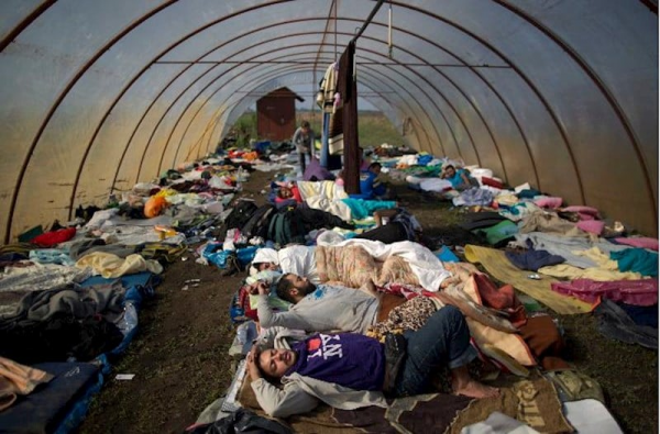 Dünya nəhəng şirkətləri Avropadakı qaçqınları işə cəlb edəcək