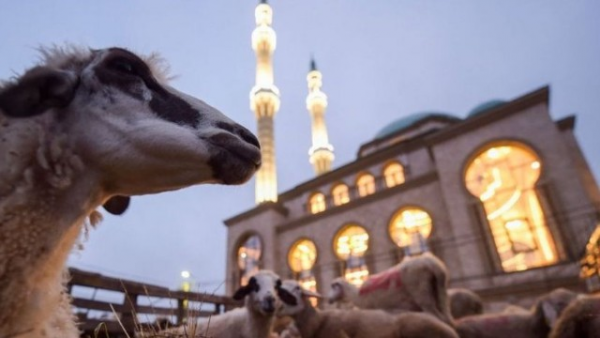 Bu gün Azərbaycanda Qurban bayramı qeyd edilir
