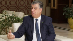 "Çörəyin, avtomobilin qiyməti qalxan kimi..." - Əli Məsimli
