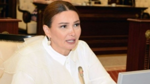 "İnkişaf etmiş ölkələrin heç birində antibiotiklər belə satılmır" - Qənirə Paşayeva