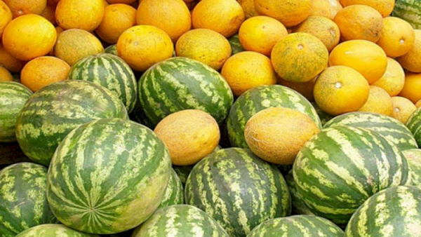 Tovuzda bir ailənin 3 üzvü qarpızdan zəhərləndi