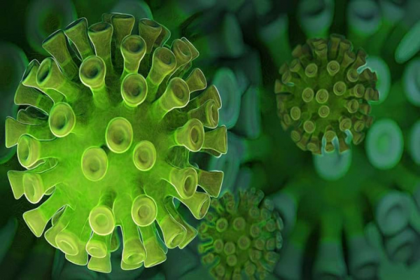 Avropada qatil virus sürətlə YAYILIR: Əlamətləri AÇIQLANDI