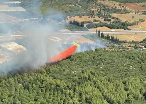 Antalyanın 2 rayonunda eyni vaxtda meşə yanğını başladı