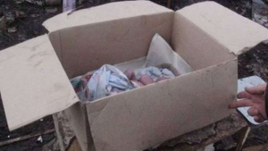 Bakıda zibil yeşiyində 10-15 günlük körpə tapıldı