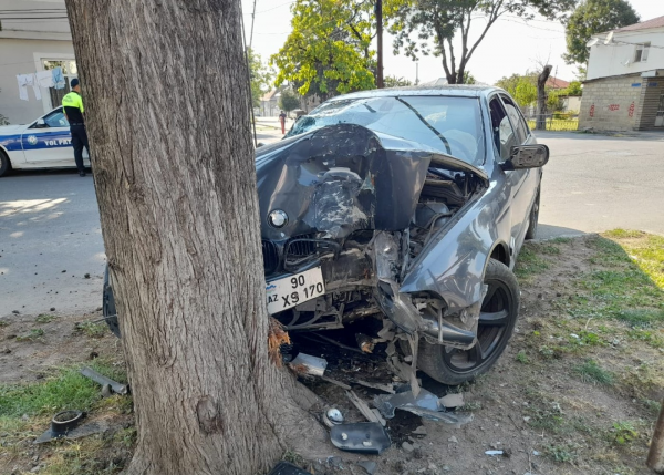 Avtomobil ağaca çırpıldı, üç azyaşlı xəsarət aldı