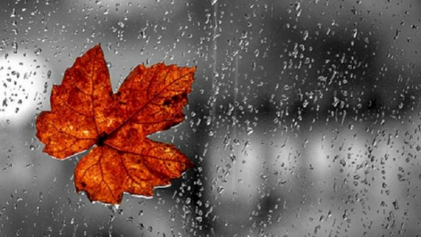 Leysan, şimşək, sel... - Qeyri-sabit hava nə qədər davam edəcək?