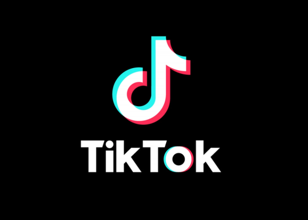 "TikTok"da dövr edən vəsaitlər vergiyə cəlb edilsin - TƏKLİF