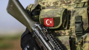 Türk ordusu 87 terrorçunu zərərsizləşdirdi