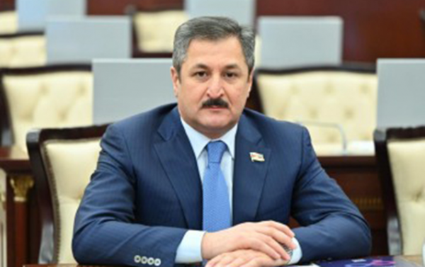 “Bu seçkiləri zəfər seçkiləri də adlandırmaq olar” - Malik Həsənov