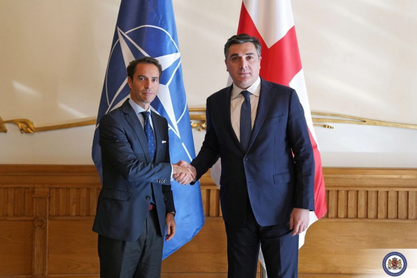 NATO Baş katibinin xüsusi nümayəndəsi Tbilisidə Darçiaşvili ilə görüşüb