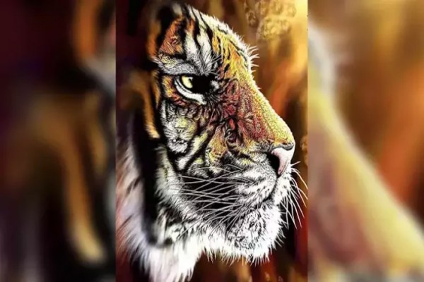 Şəkildə gizlənmiş 4 pələngi 9 saniyəyə tapsanız, xüsusi istedadsınız!